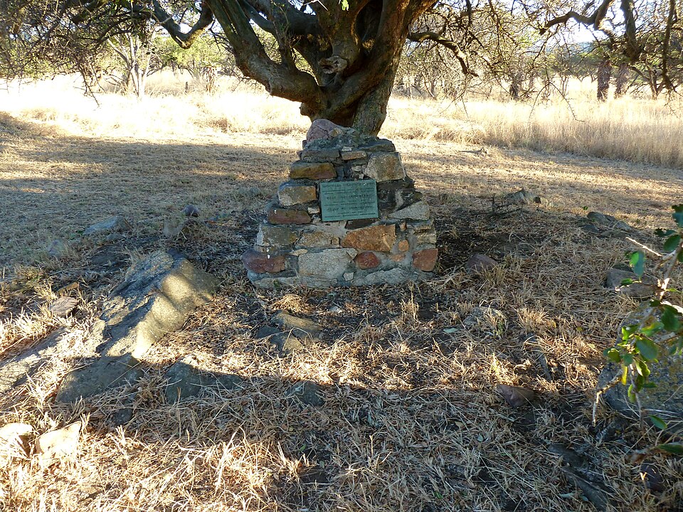 Y[[̑cƂ郓RVN̕iOOhDAAtJj