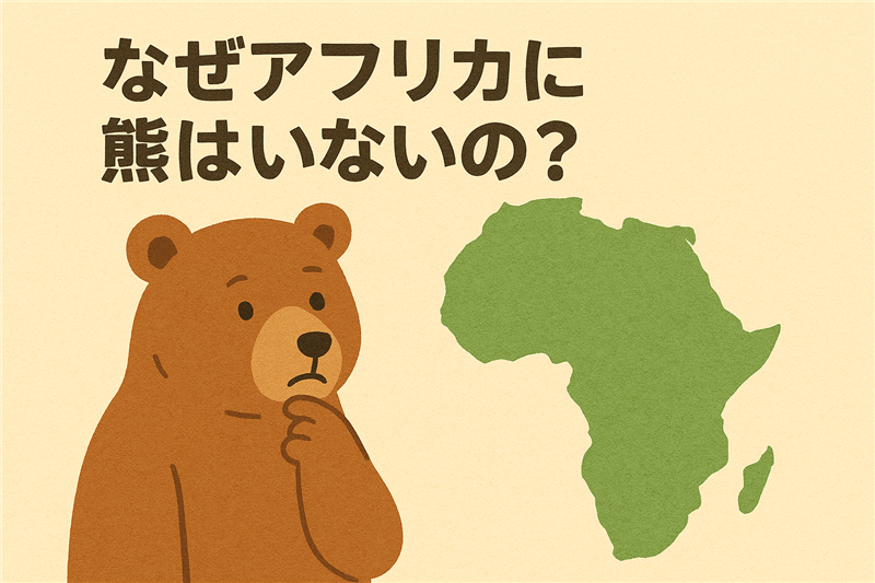 なぜアフリカに熊はいないの?絶滅したのか、そもそも生息してたのか調査!