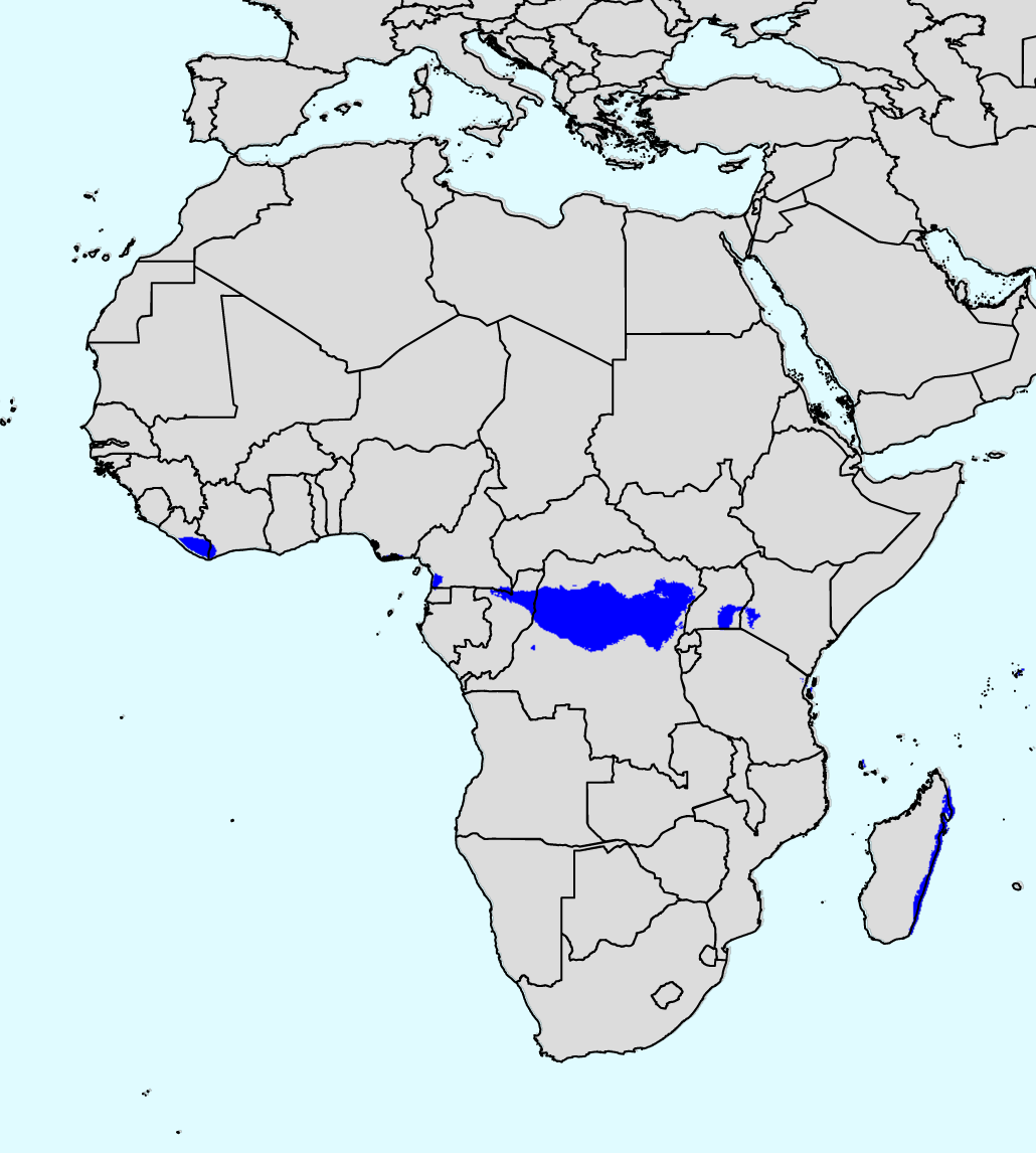 AtJ̔MщJт̕z}iKoppen-GeigerAfCj