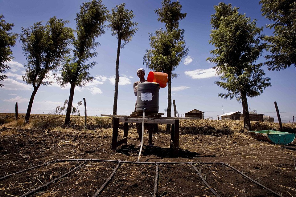 PjAEMM̓HLbgwi2009Nj