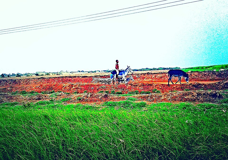 X[_̃TgELrŎns׎Ԃŉ^ԏN