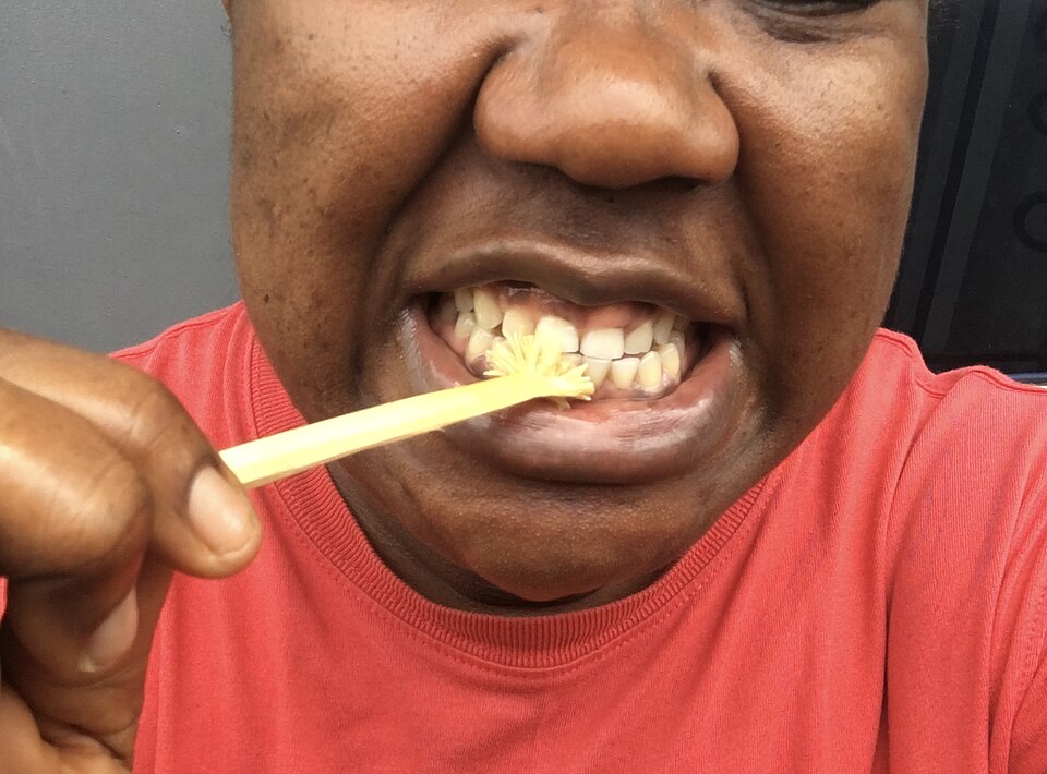 ミスワク(歯木)で歯を磨く男性(ナイジェリア)