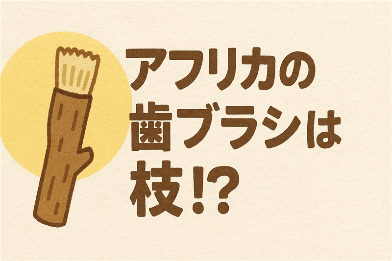 アフリカの人は歯磨きに枝を使う?伝統的なケア方法のメリットとは?