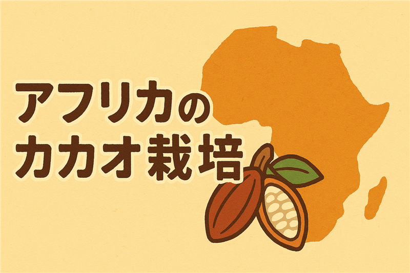 アフリカにおけるカカオ栽培の歴史