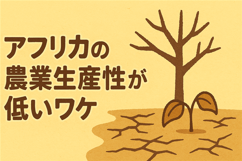 アフリカの農業生産性が低い理由とは?気候・技術・構造の課題