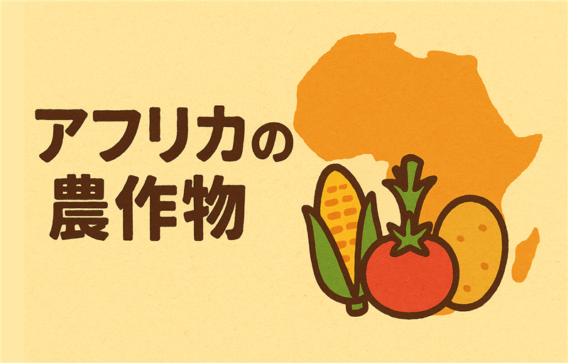 アフリカの農作物ランキングBEST5|生産量が多い順