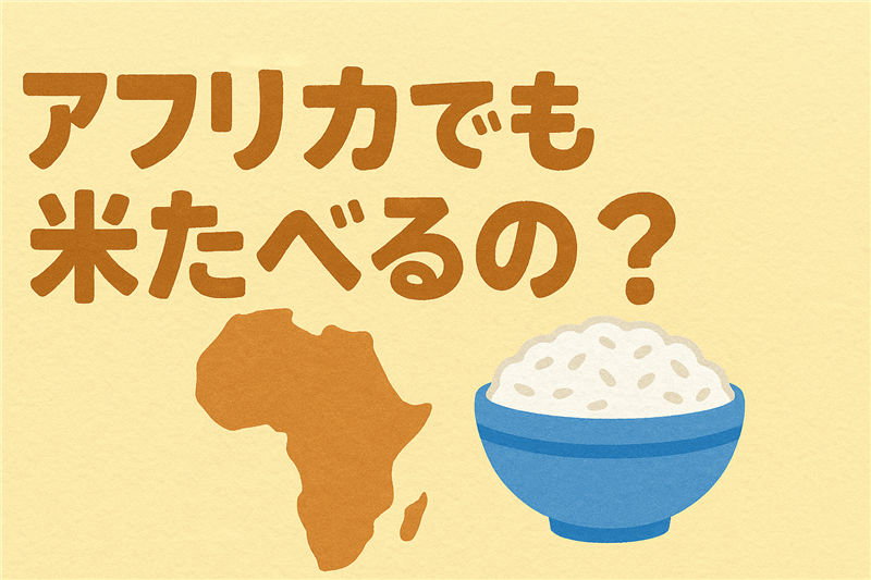 アフリカでもお米を食べるの?米作りの現状と品種のバリエーション