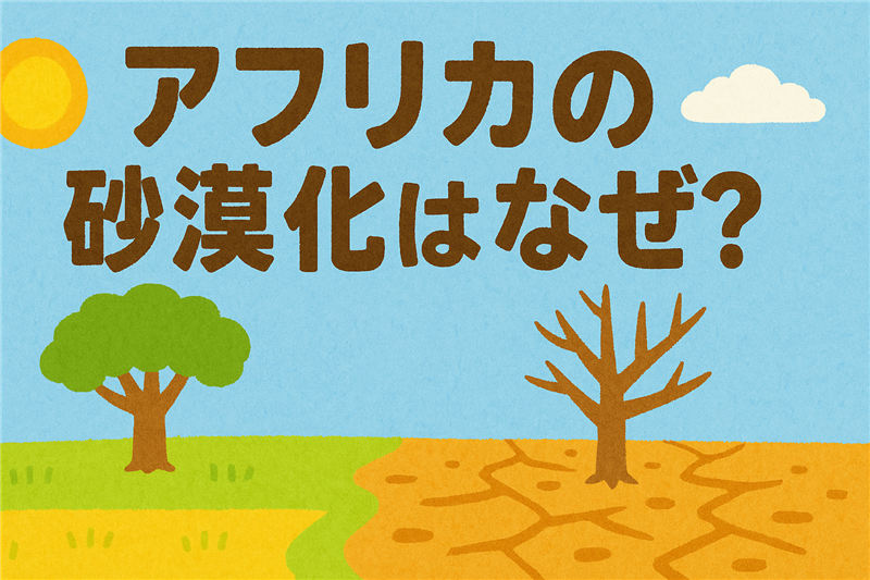 アフリカが砂漠化している理由とは?