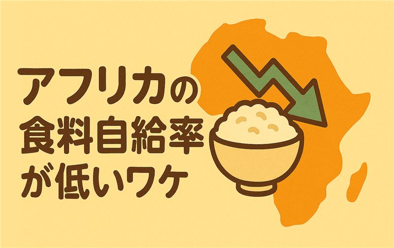 アフリカの食料自給率が低い理由は?
