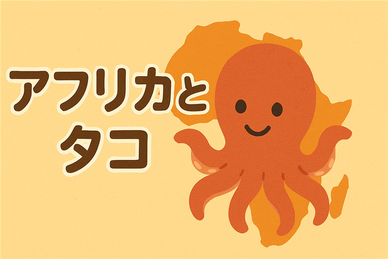 アフリカがタコの一大産地になってる理由とは?