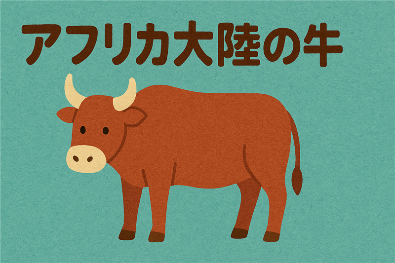 アフリカにいる牛の種類とは?在来種から放牧文化までまるわかり