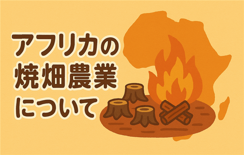 アフリカで焼畑農業がさかんな理由とその影響とは?