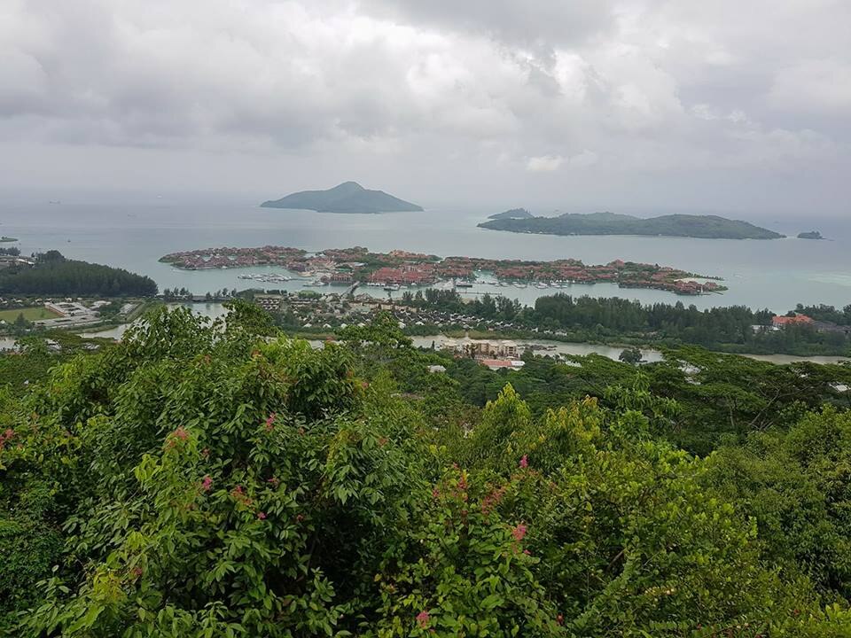 Z[VF̎sBNgA̎sXni}wj